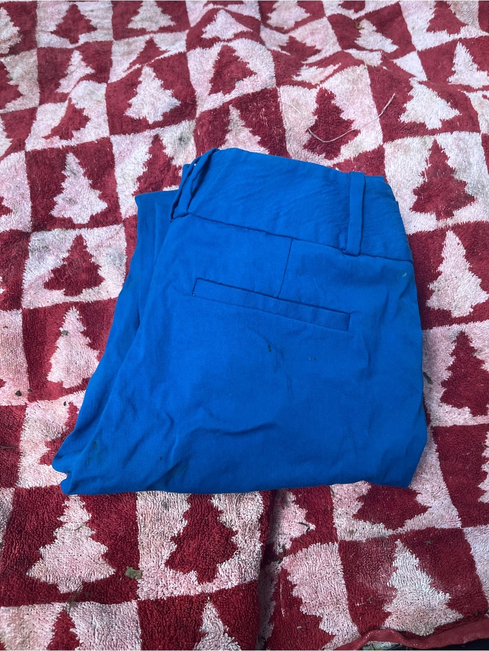 Woman’s Dress Pants